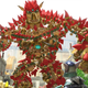 Image for article titled A Very Important Question: Is Knack Naked?